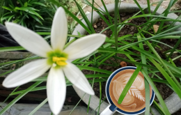 এনাম উদ্দীন রানা